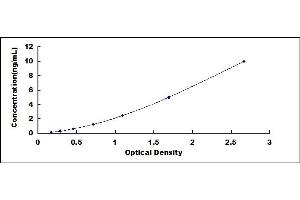 Typical standard curve (Adenylate Kinase 3 ELISA 试剂盒)