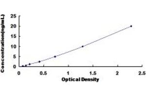 Typical standard curve (ELA2B ELISA 试剂盒)