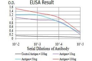Black line: Control Antigen (100 ng),Purple line: Antigen (10 ng), Blue line: Antigen (50 ng), Red line:Antigen (100 ng) (ROP1 (AA 42-183) 抗体)