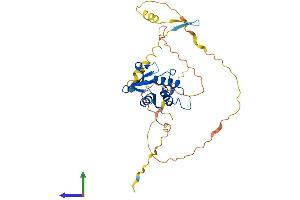 AlphaFold protein structure predicition of Human Recombinant IRF1 Protein, UniprotID P10914