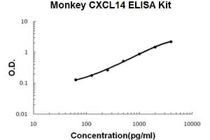 Monkey Primate CXCL14 PicoKine ELISA Kit standard curve
