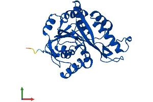 Protein Structure (PS) image for Mediator of Cell Motility 1 (MEMO1) (AA 1-297) protein (His tag) (ABIN7559989)