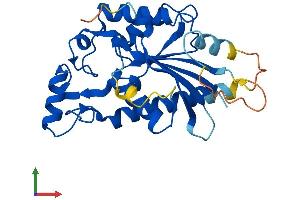 AlphaFold protein structure predicition of Mouse Recombinant Tigar Protein, UniprotID Q8BZA9 (TIGAR Protein (AA 1-269) (His tag))