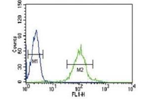 IRF8 antibody flow cytometric analysis of HL-60 cells (green) compared to a negative control (blue). (IRF8 抗体  (AA 384-409))