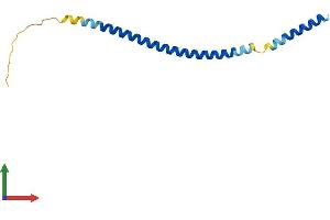 Protein Structure (PS) image for Blocked Early in Transport 1 Homolog (BET1) (AA 1-118) protein (His tag) (ABIN7562344)