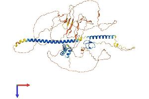 TAB2 Protein (AA 1-693) (His tag)
