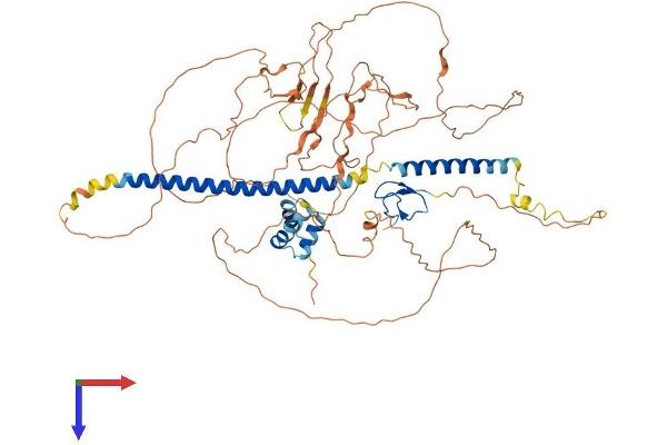 TAB2 Protein (AA 1-693) (His tag)