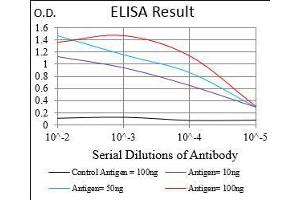 Black line: Control Antigen (100 ng), Purple line: Antigen(10 ng), Blue line: Antigen (50 ng), Red line: Antigen (100 ng), (IGFBP7 抗体  (AA 52-156))