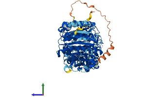 Protein Structure (PS) image for Histone Deacetylase 10 (HDAC10) (AA 1-666) protein (His tag) (ABIN7557990)