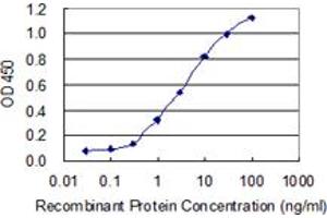 Detection limit for recombinant GST tagged KRT34 is 0. (Keratin 34 抗体  (AA 337-436))