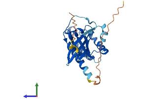 Protein Structure (PS) image for RAB3B, Member RAS Oncogene Family (RAB3B) (AA 1-219) protein (His tag) (ABIN7551138)