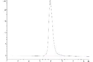 Size-exclusion chromatography-High Pressure Liquid Chromatography (SEC-HPLC) image for Thymic Stromal Lymphopoietin (TSLP) (Arg127Ala-Mutant), (Arg130Ala-Mutant) protein (His-Avi Tag,Biotin) (ABIN7275808)