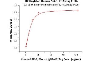 Immobilized Biotinylated Human Dkk-1, Fc,Avitag (ABIN6253199,ABIN6253585) at 5 μg/mL (100 μL/well) on Streptavidin  precoated (0.