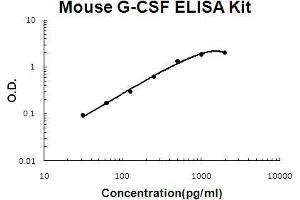 Mouse G-CSF EZ Set™ ELISA Kit (DIY Antibody Pairs)
