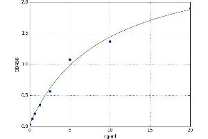 Quinoid Dihydropteridine Reductase (QDPR) ELISA Kit