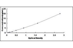 Typical standard curve (Kazald1 ELISA 试剂盒)
