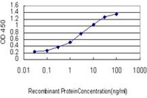 ELISA image for anti-NIMA (Never in Mitosis Gene A)- Related Kinase 9 (NEK9) (AA 226-326) antibody (ABIN566652)