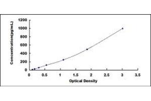 Typical standard curve (VEGF189 ELISA 试剂盒)