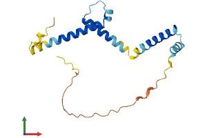 Protein Structure (PS) image for Hairy and Enhancer of Split 5 (HES5) (AA 1-167) protein (His tag) (ABIN7556661)