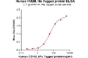 ELISA plate pre-coated by 2 μg/mL (100 μL/well) Human HVEM, His tagged protein (ABIN6964089, ABIN7042433 and ABIN7042434) can bind Human CD160,hFc tagged protein ABIN6964110, ABIN7042475 and ABIN7042476 in a linear range of 1.