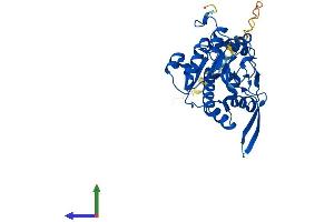 Protein Structure (PS) image for MFNG (MFNG) (AA 1-321) protein (His tag) (ABIN7549338)