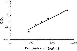 anti-Angiogenin (ANG) (AA 25-147) antibody