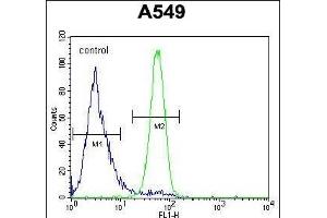 Flow Cytometry (FACS) image for anti-Follistatin-Like 1 (FSTL1) (AA 280-308), (C-Term) antibody (ABIN654491)