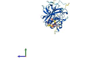 Protein Structure (PS) image for Nudix (Nucleoside Diphosphate Linked Moiety X)-Type Motif 17 (NUDT17) (AA 1-328) protein (His tag) (ABIN7550034)