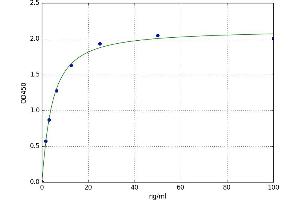 Syndecan 4 (SDC4) ELISA Kit