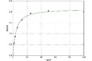 A typical standard curve (SDC4 ELISA 试剂盒)