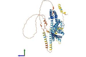 Protein Structure (PS) image for Potassium Voltage-Gated Channel, Shal-Related Subfamily, Member 1 (Kcnd1) (AA 1-647) protein (His tag) (ABIN7554296)