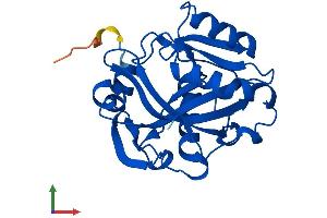 AlphaFold protein structure predicition of Mouse Recombinant Idi2 Protein, UniprotID Q8BFZ6