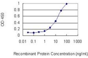 Detection limit for recombinant GST tagged C2orf62 is 0. (C2orf62 抗体  (AA 1-387))