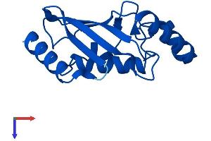 UBE2D1 Protein (AA 1-147) (His tag)