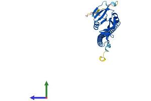 Protein Structure (PS) image for C-Type Lectin Domain Family 12, Member A (CLEC12A) (AA 1-267) protein (His tag) (ABIN7557404)