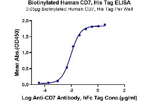 ELISA image for CD7 (CD7) (AA 26-180) protein (His-Avi Tag,Biotin) (ABIN7274232)