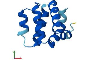 Protein Structure (PS) image for Caspase Recruitment Domain-Containing Protein 18 (ICEBERG) (CARD18) (AA 1-90) protein (His tag) (ABIN7552965)