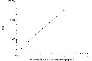 Typical standard curve (ADCY1 CLIA Kit)