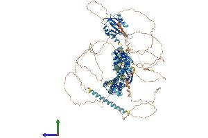 Protein Structure (PS) image for Potassium Voltage-Gated Channel, Subfamily H (Eag-Related), Member 2 (KCNH2) (AA 1-1162) protein (His tag) (ABIN7562285)