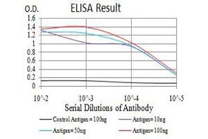 Black line: Control Antigen (100 ng),Purple line: Antigen (10 ng), Blue line: Antigen (50 ng), Red line:Antigen (100 ng) (KDM4B 抗体  (AA 960-1096))