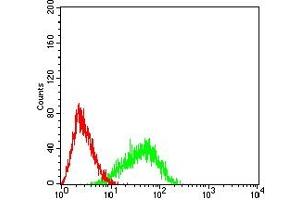 Flow cytometric analysis of HL-60 cells using CD96 mouse mAb (green) and negative control (red). (CD96 抗体  (AA 321-519))