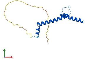 AlphaFold protein structure predicition of Human Recombinant NHLH1 Protein, UniprotID Q02575