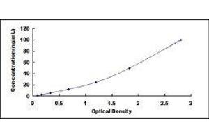Glyoxalase I (GLO1) ELISA Kit
