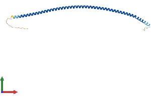 Protein Structure (PS) image for Coiled-Coil Domain Containing 153 (CCDC153) (AA 1-202) protein (His tag) (ABIN7562804)