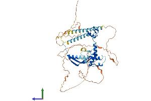 Protein Structure (PS) image for Cysteine-serine-Rich Nuclear Protein 2 (CSRNP2) (AA 1-534) protein (His tag) (ABIN7558572)