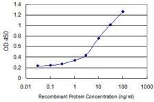 Detection limit for recombinant GST tagged C9orf96 is 0. (C9orf96 抗体  (AA 1-99))