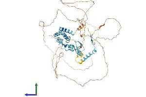 Protein Structure (PS) image for Mediator Complex Subunit 26 (MED26) (AA 1-588) protein (His tag) (ABIN7564192)