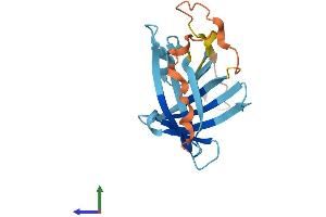 AlphaFold protein structure predicition of Human Recombinant LCNL1 Protein, UniprotID Q6ZST4