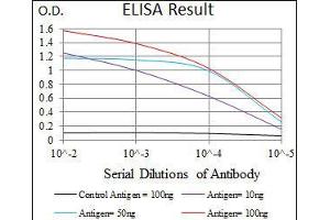 Black line: Control Antigen (100 ng), Purple line: Antigen(10 ng), Blue line: Antigen (50 ng), Red line: Antigen (100 ng), (BPIFB1 抗体  (AA 248-475))