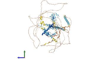 AlphaFold protein structure predicition of Mouse Recombinant Taf3 Protein, UniprotID Q5HZG4